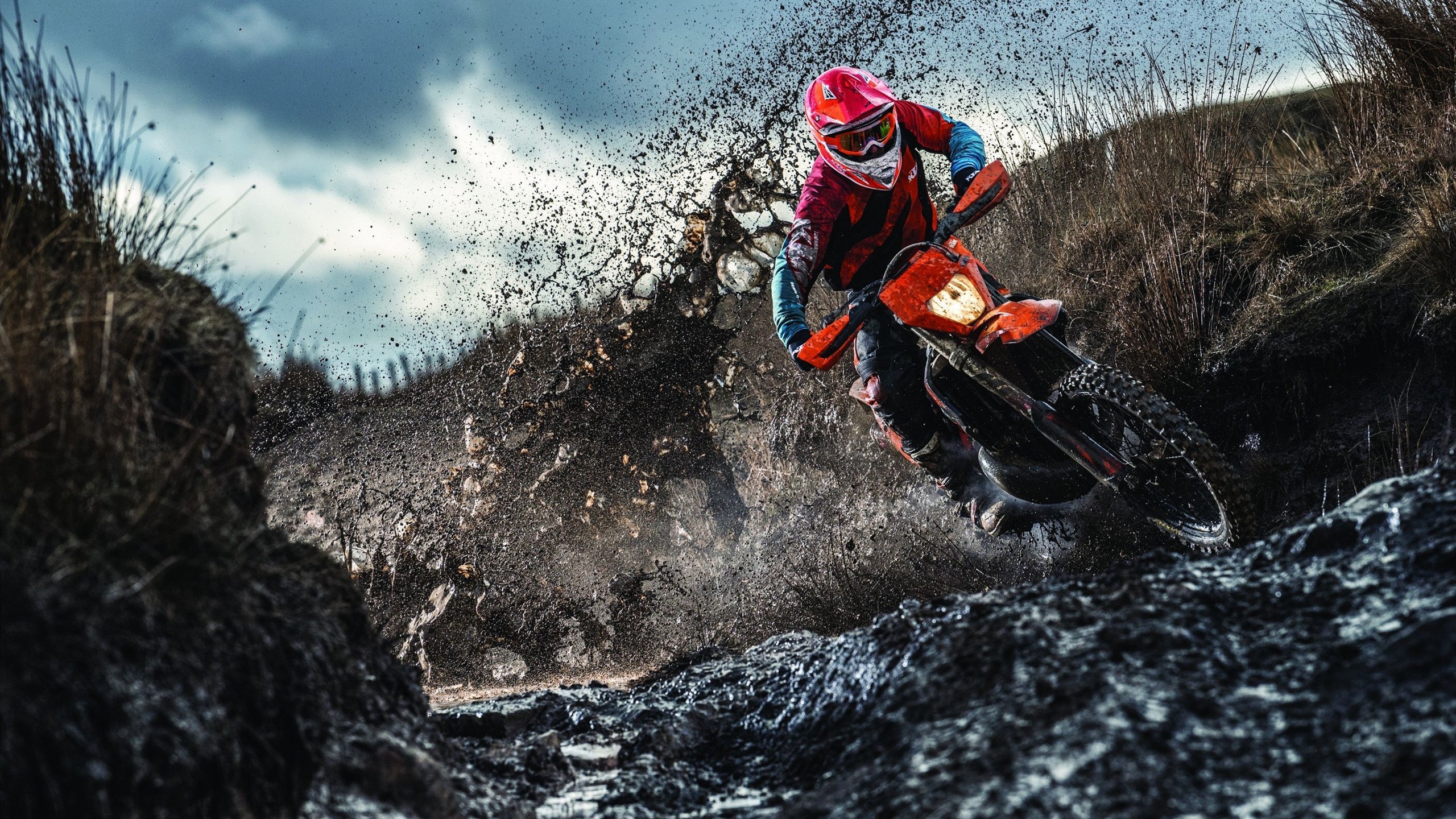 亚冠联赛激战正酣 中超球队逆境突围显韧性