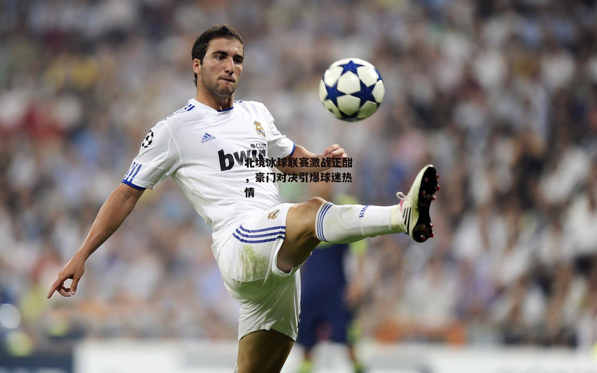 北境冰球联赛激战正酣，豪门对决引爆球迷热情