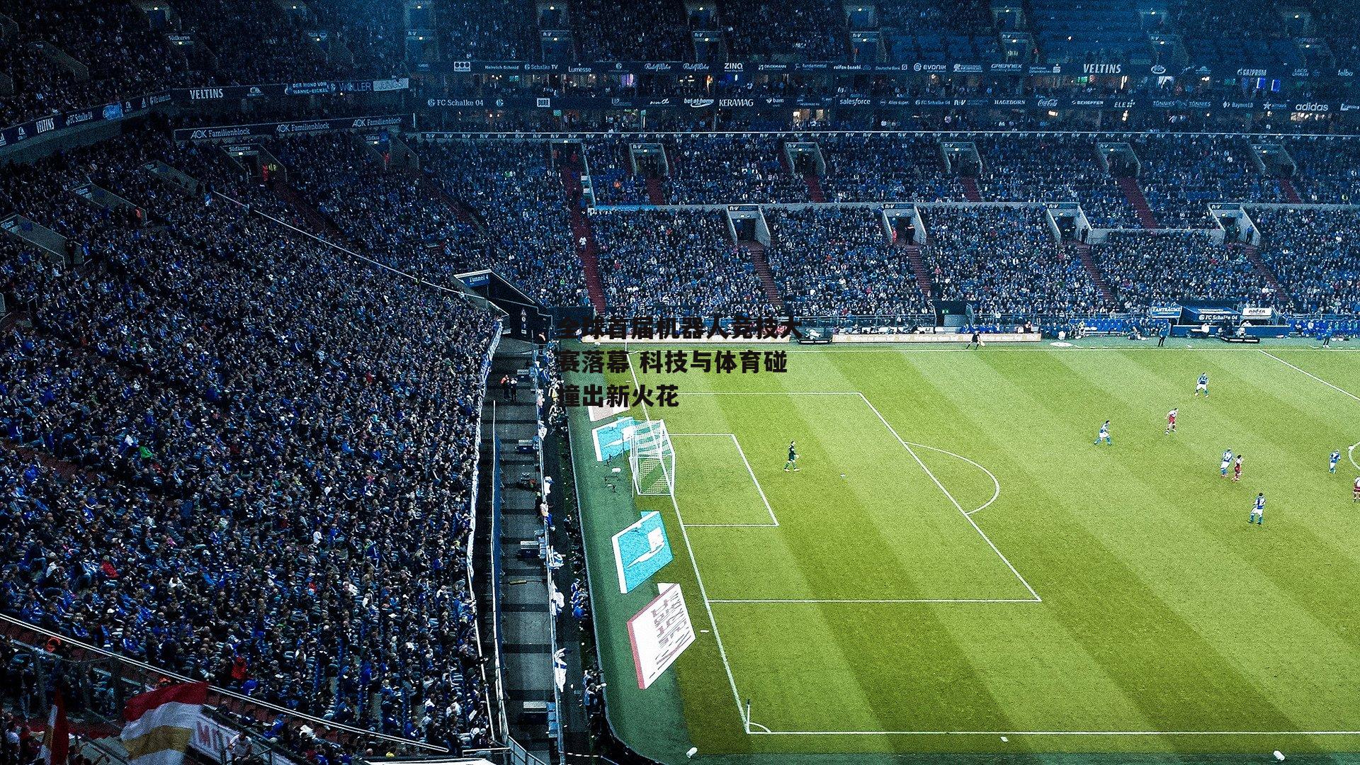 全球首届机器人竞技大赛落幕 科技与体育碰撞出新火花